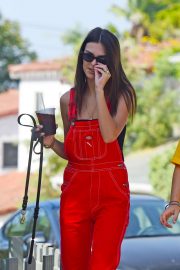 Emily Ratajkowski in Red Jumpsuit - Walking her dog in Los Angeles