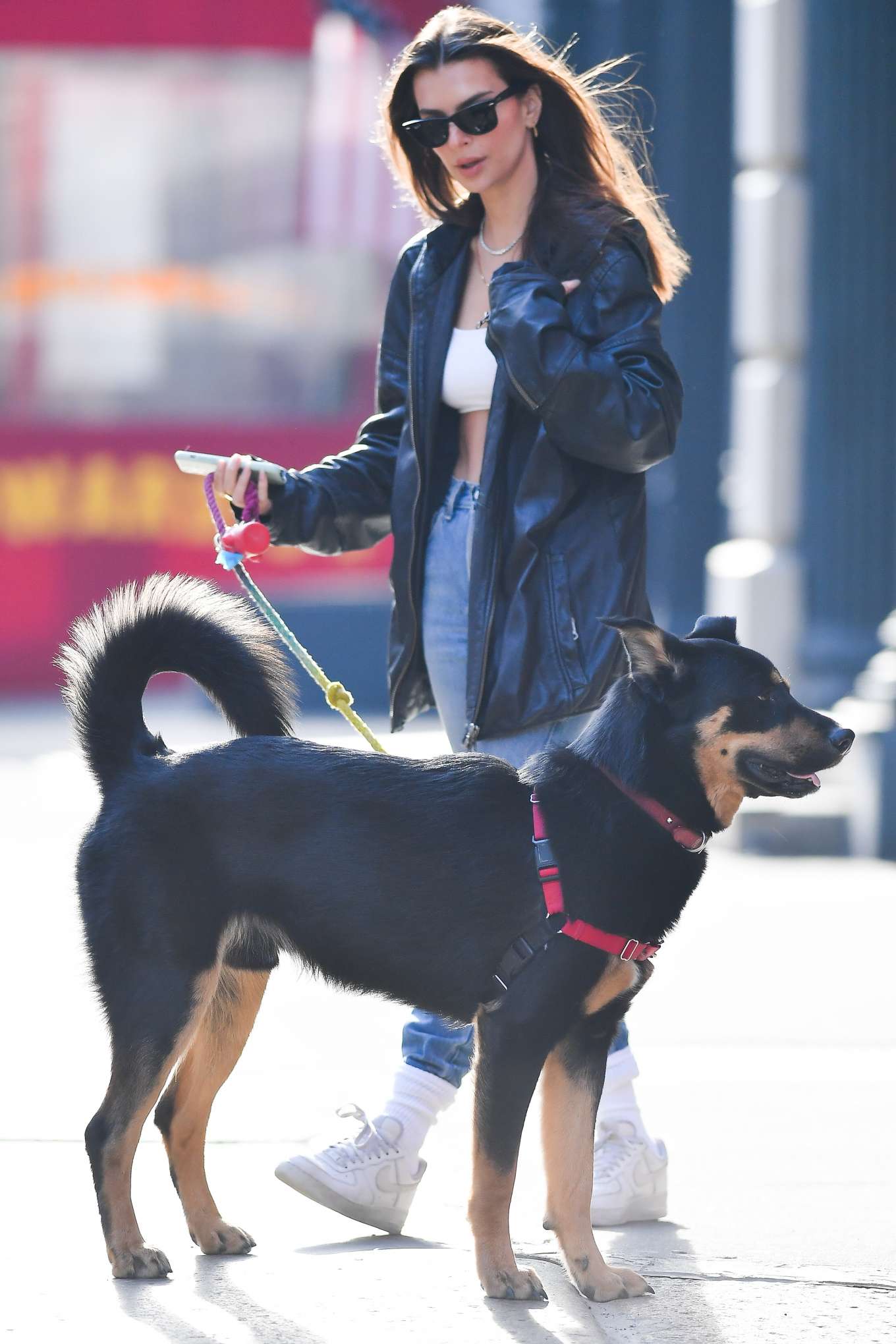 Emily Ratajkowski 2020 : Emily Ratajkowski ith her dog Colombo in New York-06