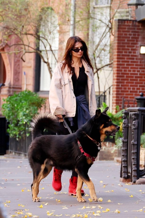 Emily Ratajkowski - On a stroll with her dog Colombo in New York