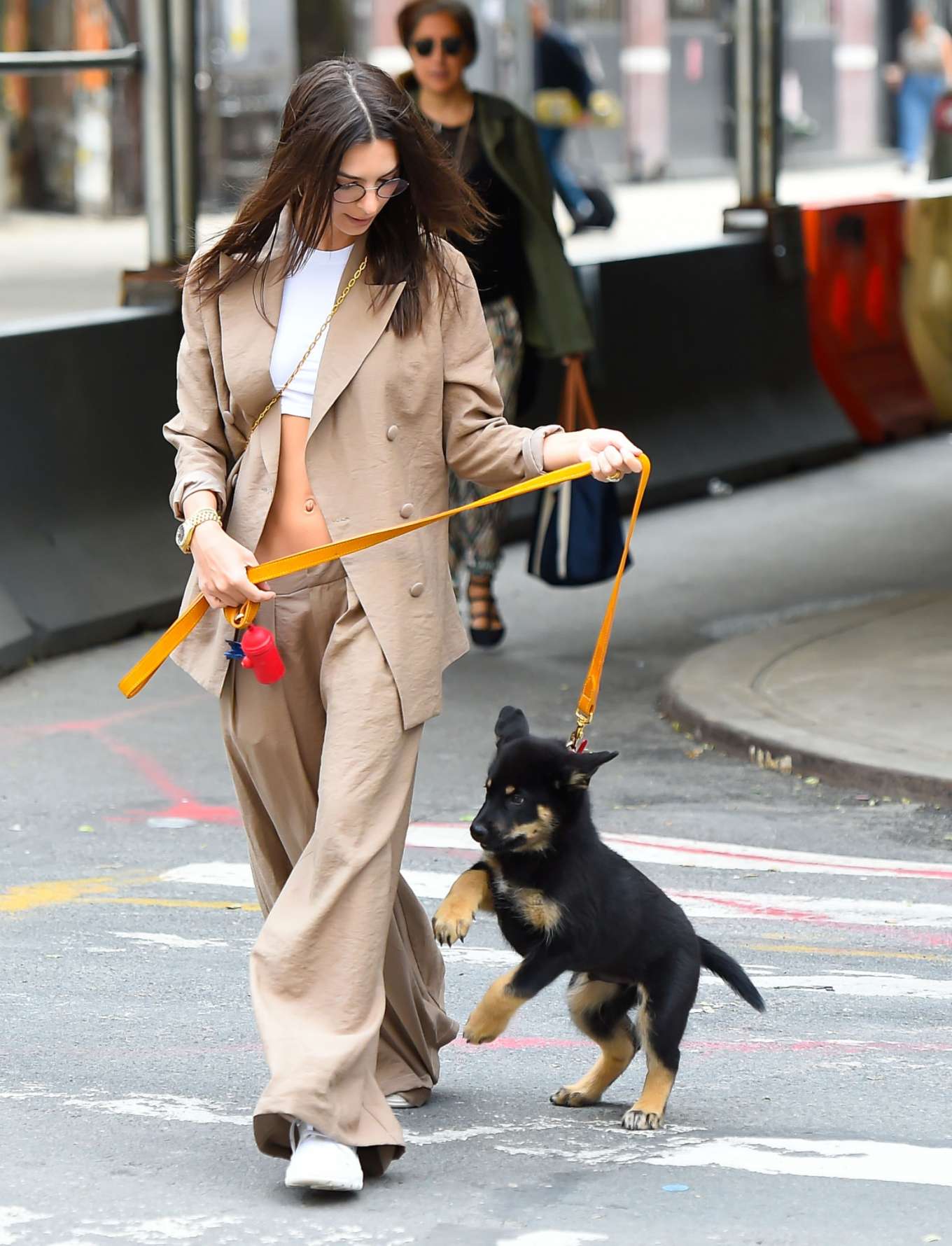 Emily Ratajkowski - Out with her puppy in New York City