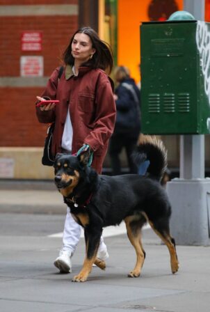 Emily Ratajkowski - Seen on an afternoon stroll with her dog Colombo in New York