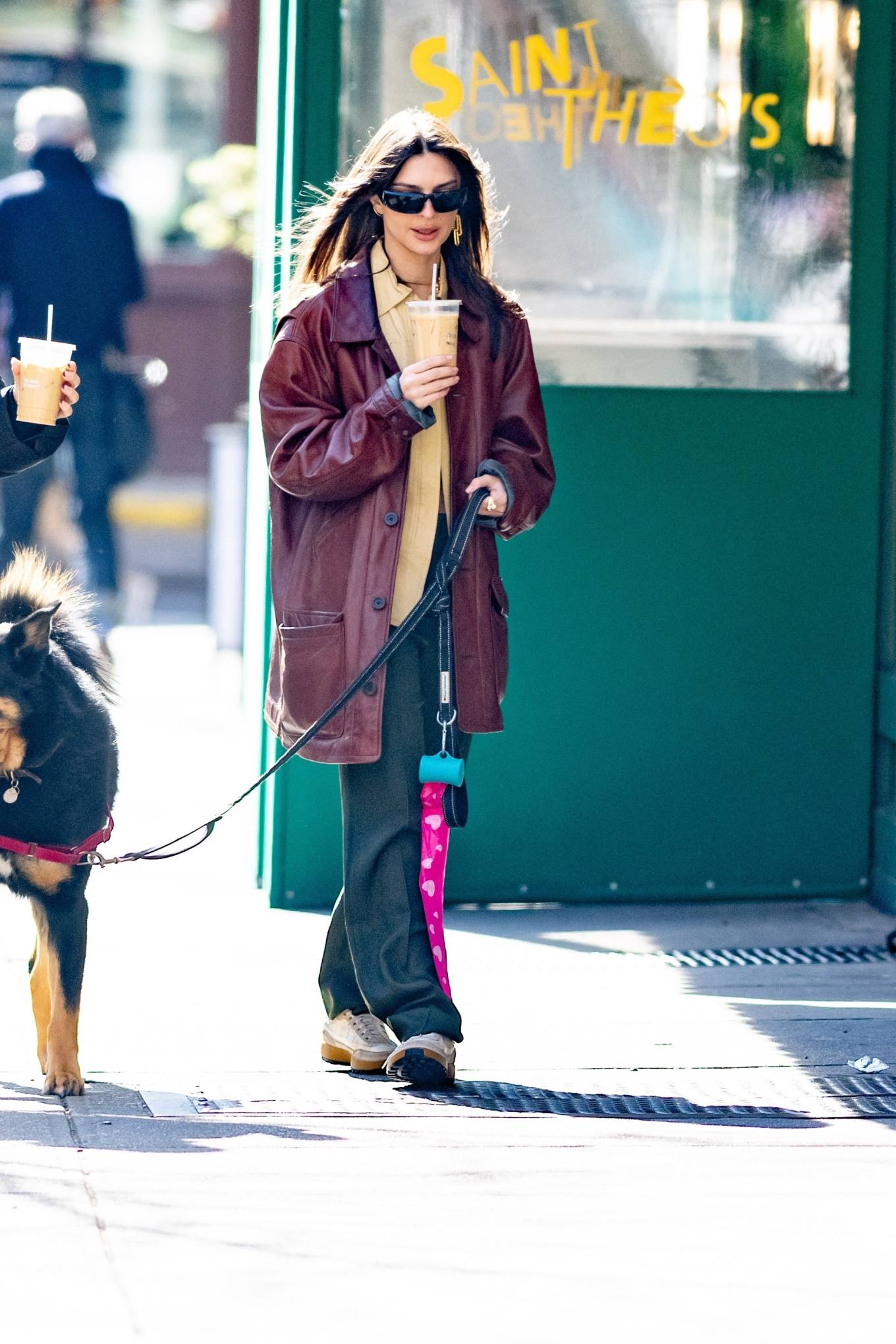 Emily Ratajkowski - Seen while out walking her dog Colombo in New York