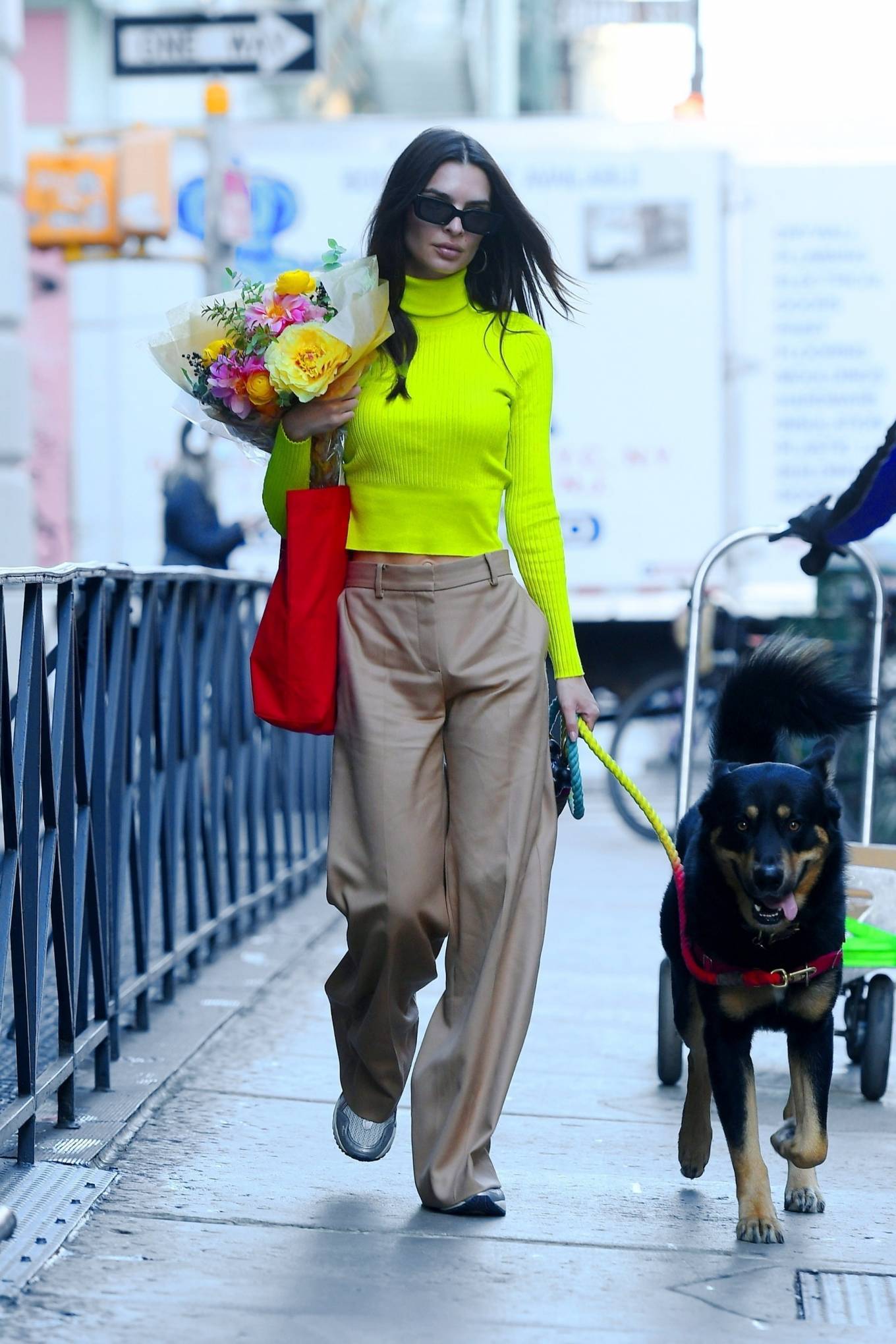 Emily Ratajkowski - Seen with her dog Colombo in New York City