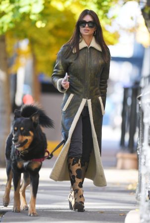 Emily Ratajkowski - Spootted while walking her dog Colombo in NYC