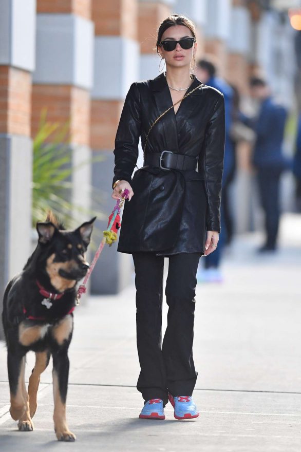 Emily Ratajkowski - Walking her dog Colombo in New York