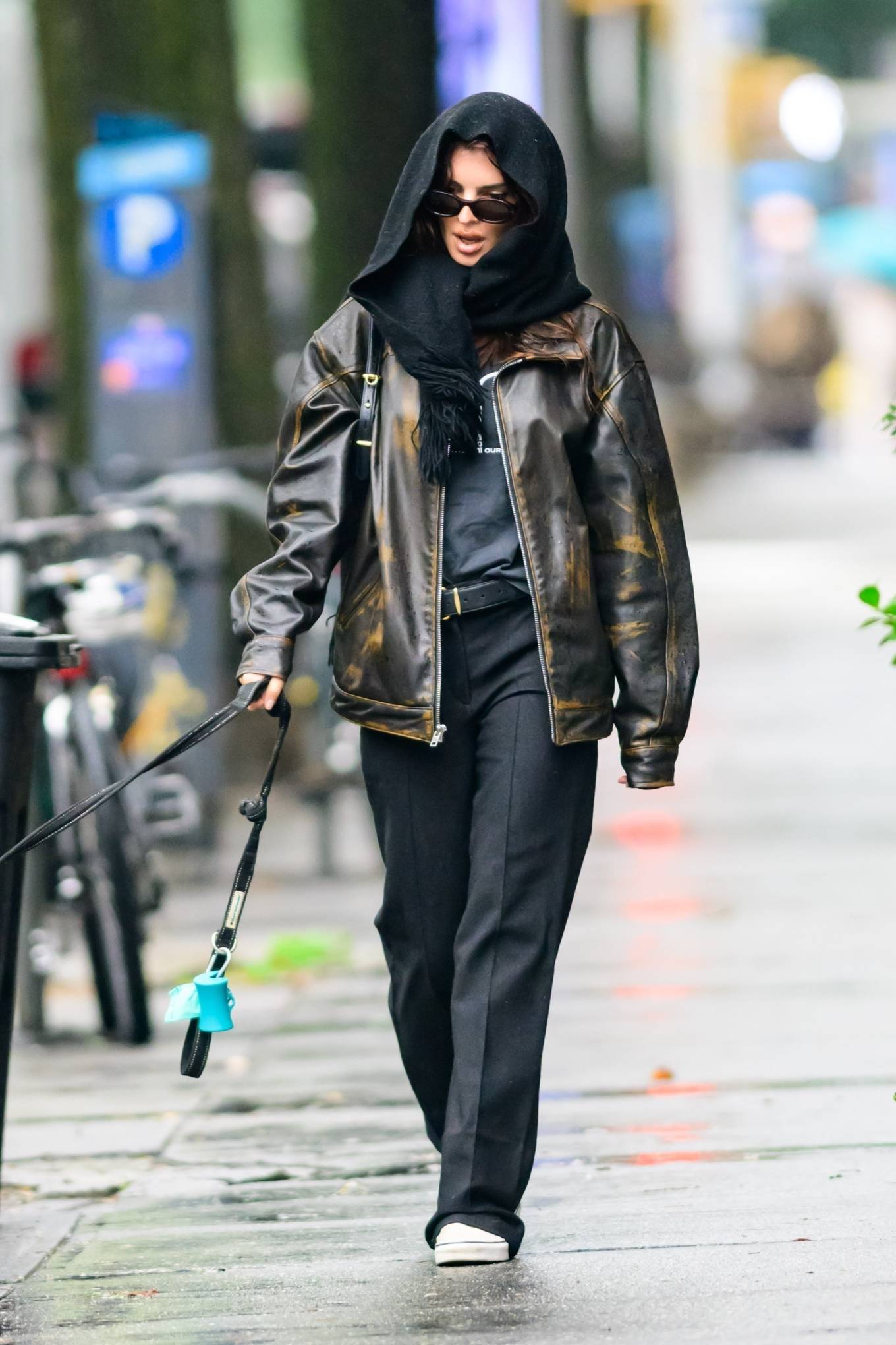 Emily Ratajkowski - Walking her dog Colombo in New York-20 | GotCeleb