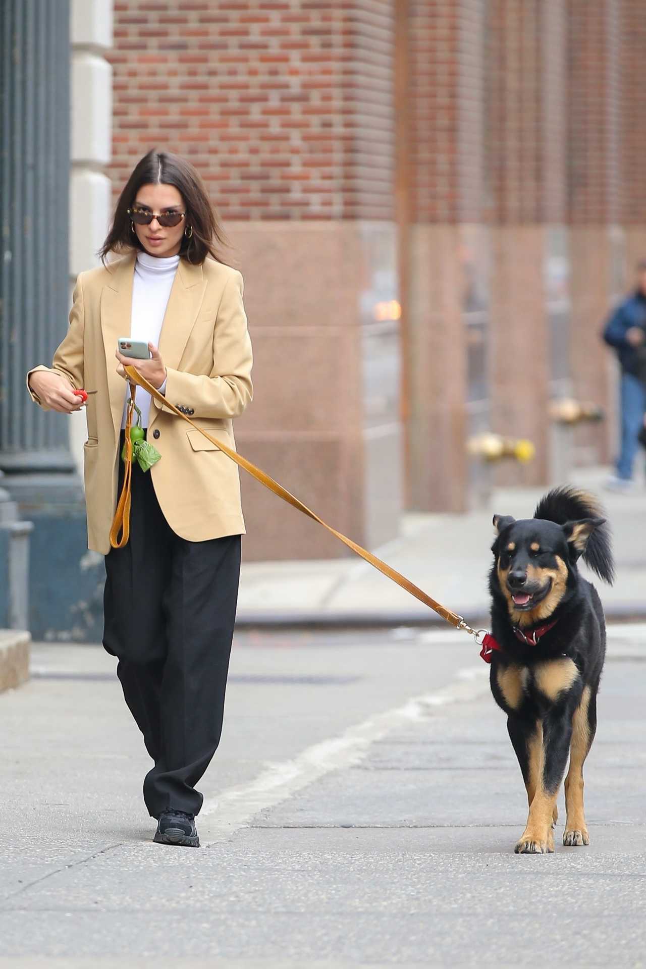 Emily Ratajkowski - Walking her dog Colombo in NY-21 | GotCeleb