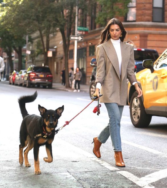 Emily Ratajkowski - walking her puppy Columbo in New York