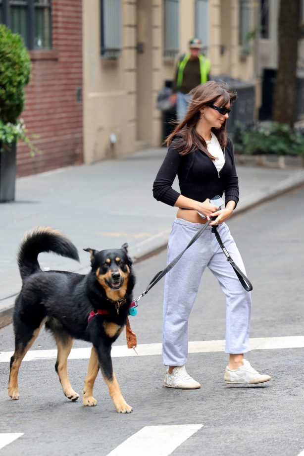 Emily Ratajkowski - Walks her dog Colombo in New York