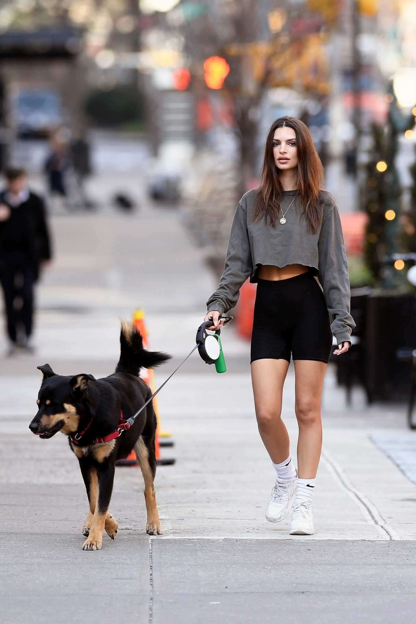 Emily Ratajkowski â€“ Walks her dog in New York City