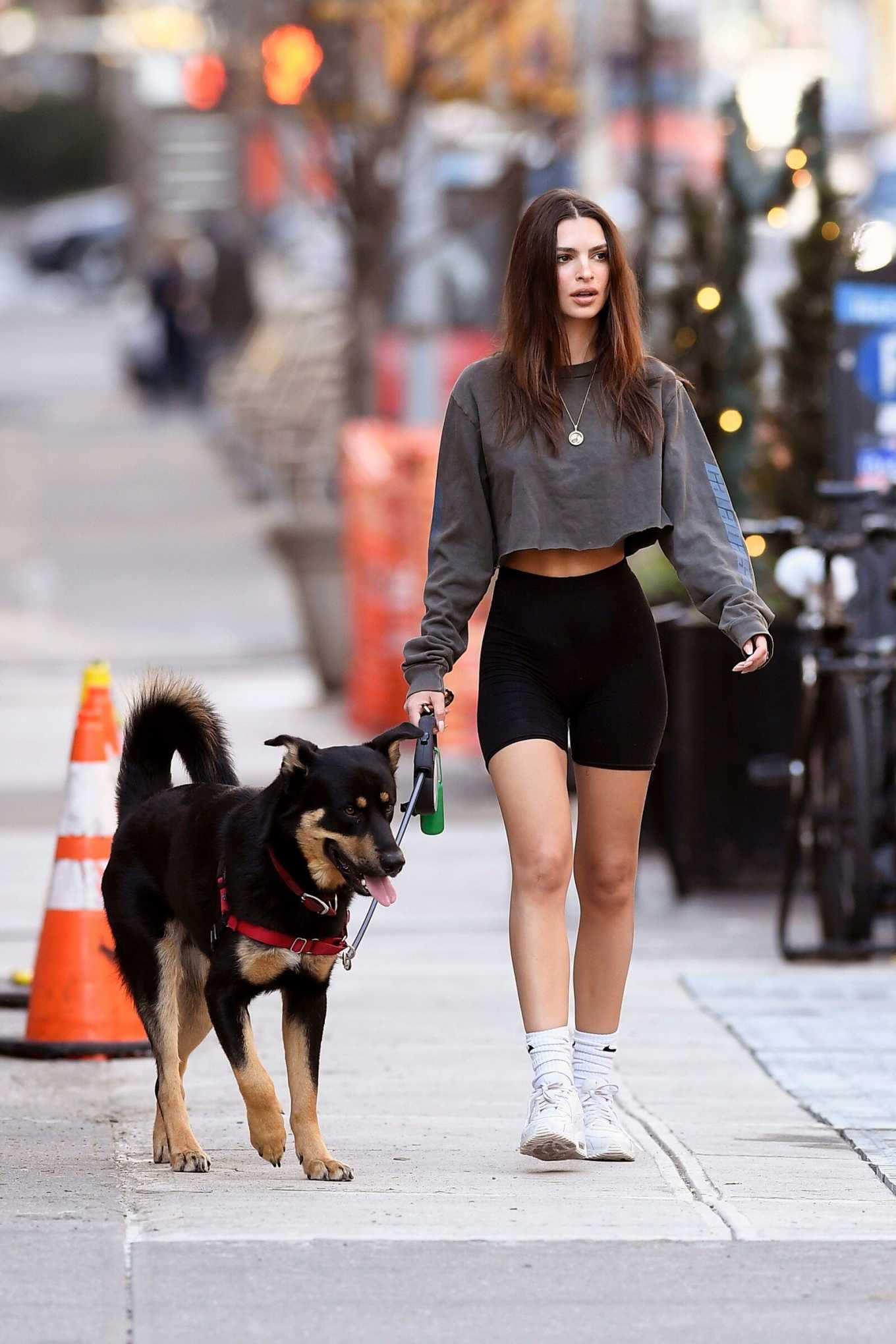 Emily Ratajkowski â€“ Walks her dog in New York City