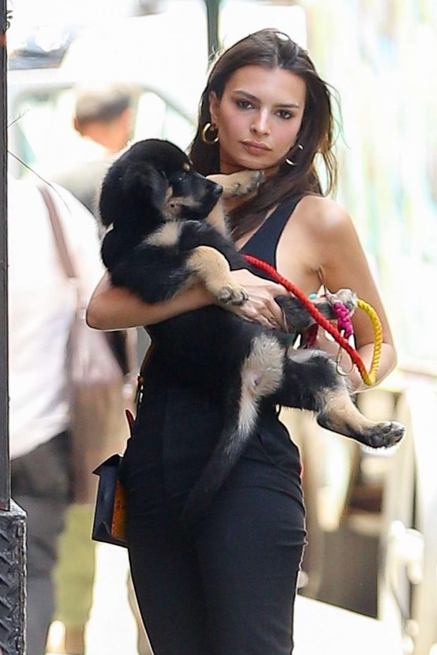 Emily Ratjakowski - Walks her adopted puppy Colombo in NYC