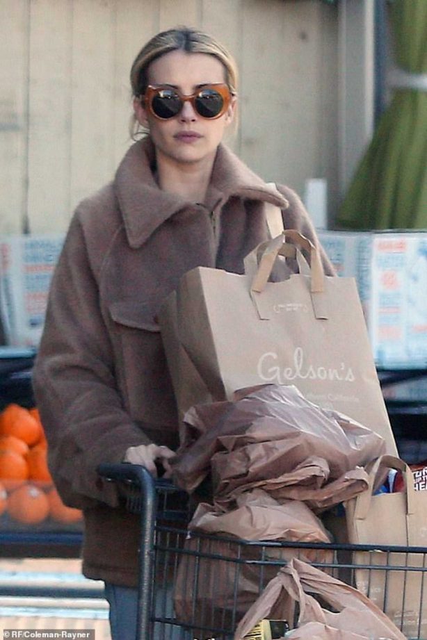 Emma Roberts - Leaving a Supermarket in Hollywood