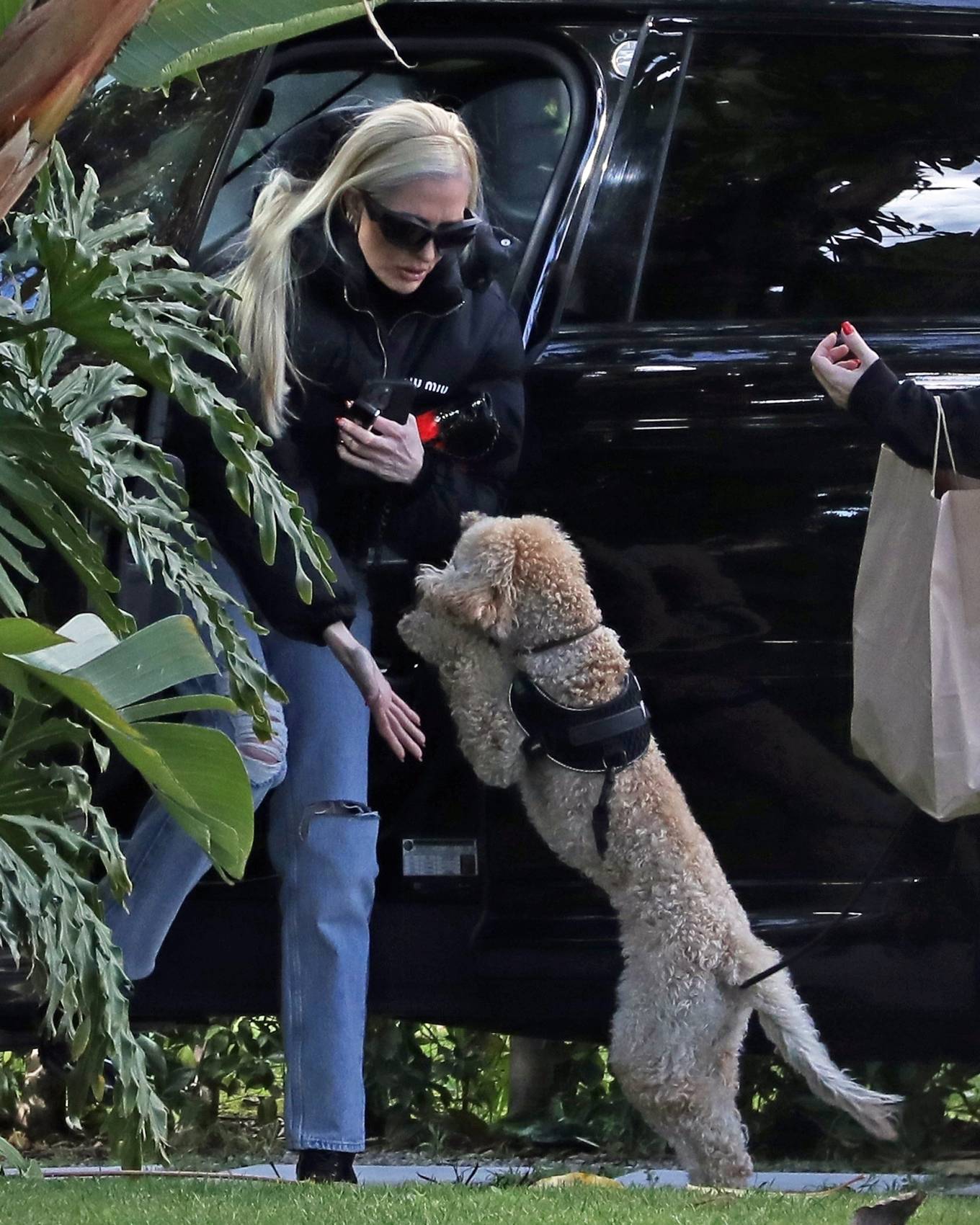 Erika Jayne - Playing with her pup in Los Angeles