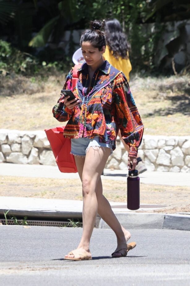 Freida Pinto - Out for a stroll in Los Angeles