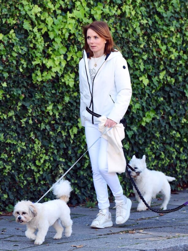 Geri Halliwell - seen out walking her dogs in North London