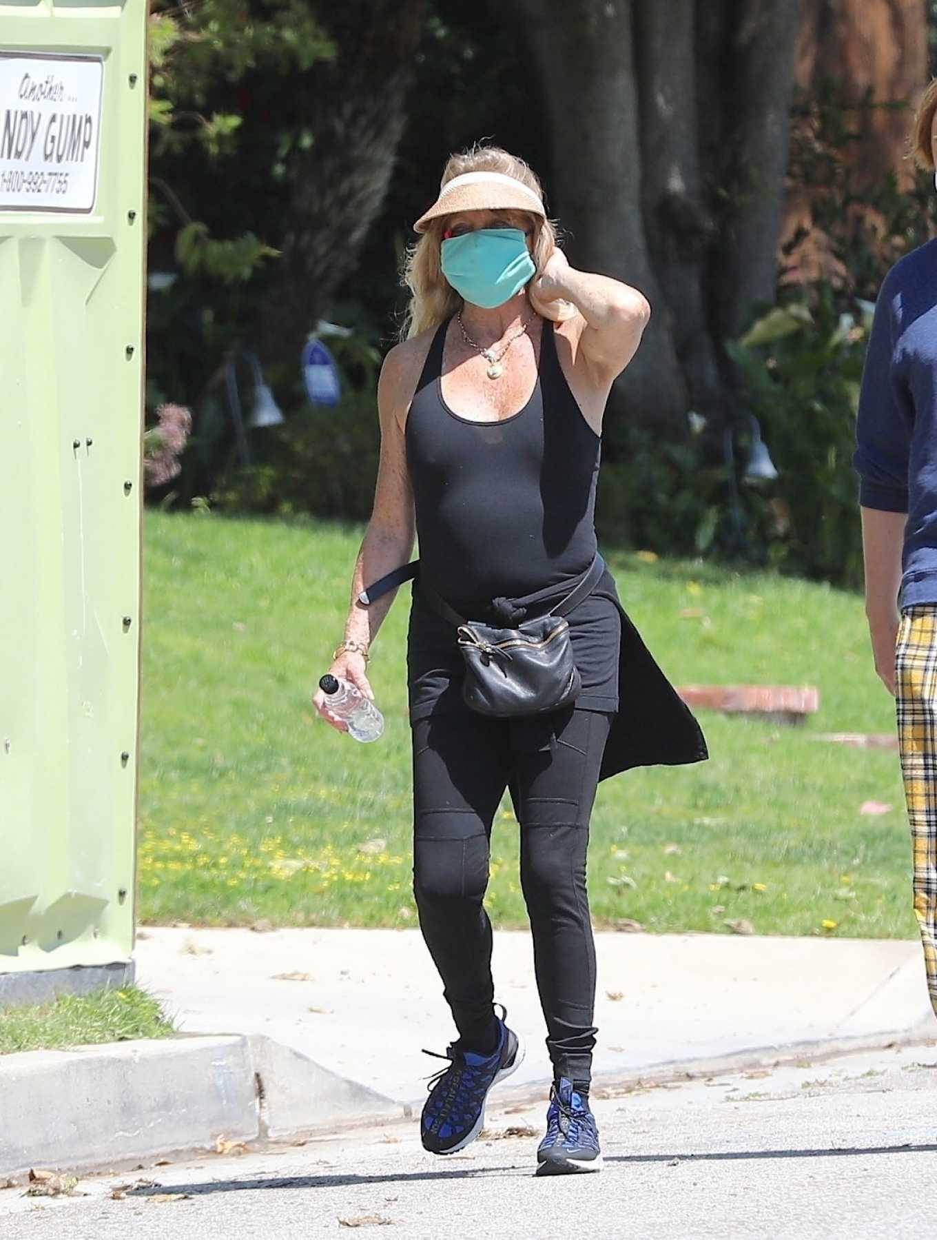 Goldie Hawn 2020 : Goldie Hawn – Goue out for walk in Brentwood-03