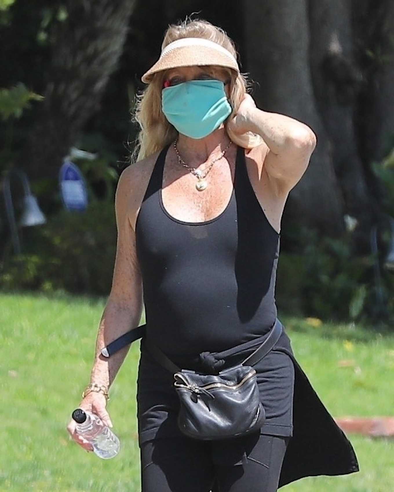 Goldie Hawn 2020 : Goldie Hawn – Goue out for walk in Brentwood-12
