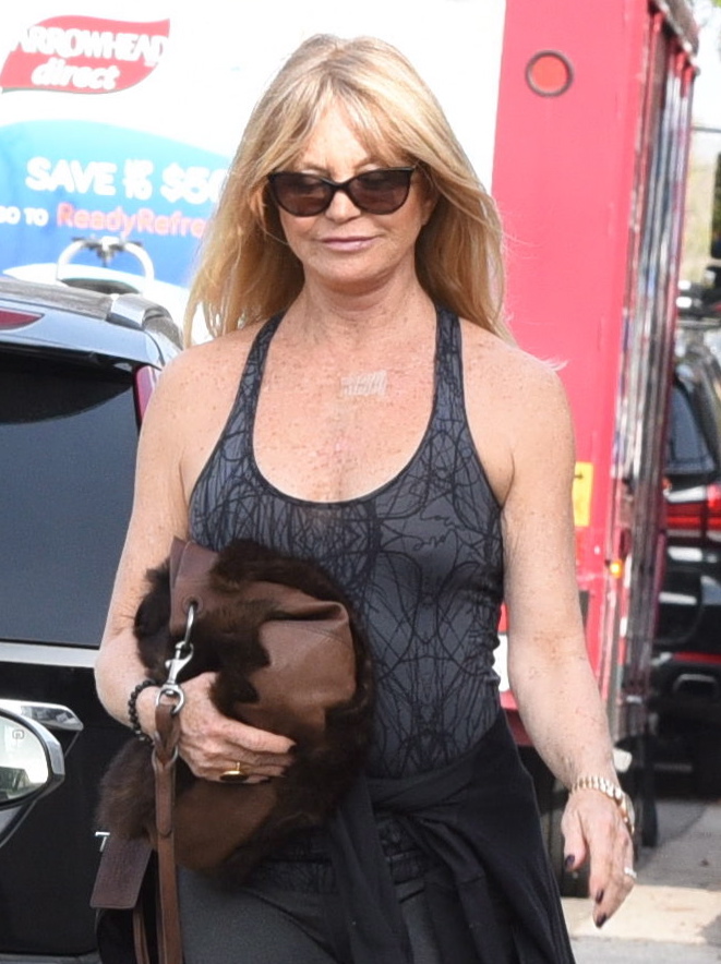Goldie Hawn out and about in Brentwood