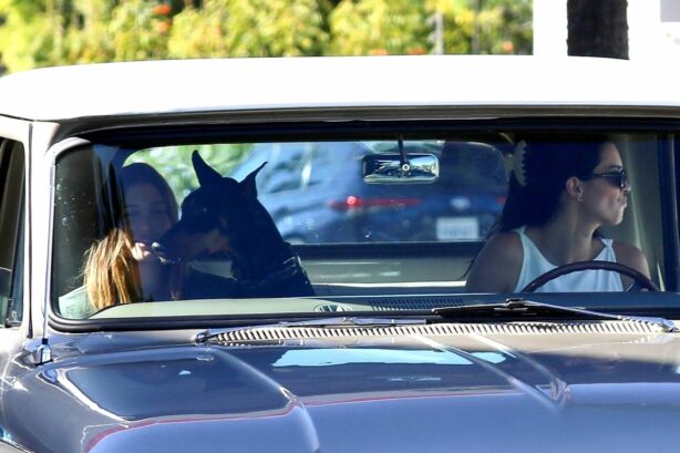 Hailey Baldwin - With Kendall Jenner cruise on Kendall's classic pickup truck in Beverly Hills