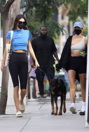 Hailey Bieber and Kendall Jenner - Out for a walk with Kendall doberman in West Hollywood