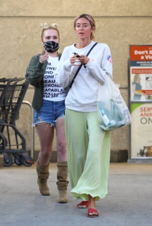 Hayden Panettiere - Stops at a grocery store in Brentwood