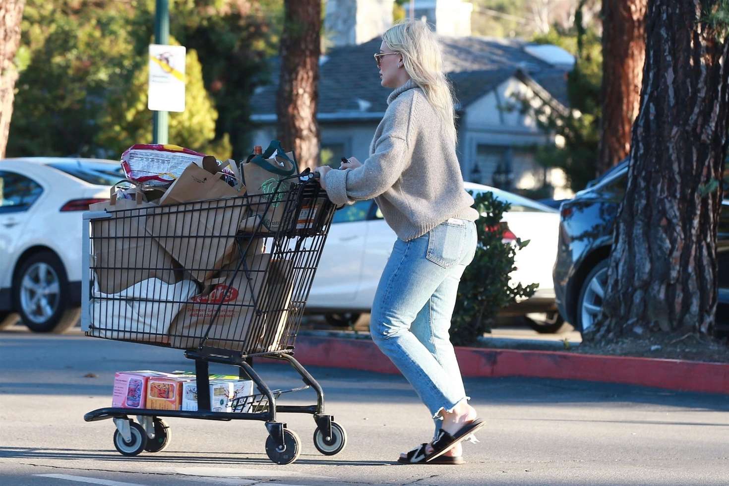 Hilary Duff 2019 : Hilary Duff: Shopping at Ralphs Supermarket -04