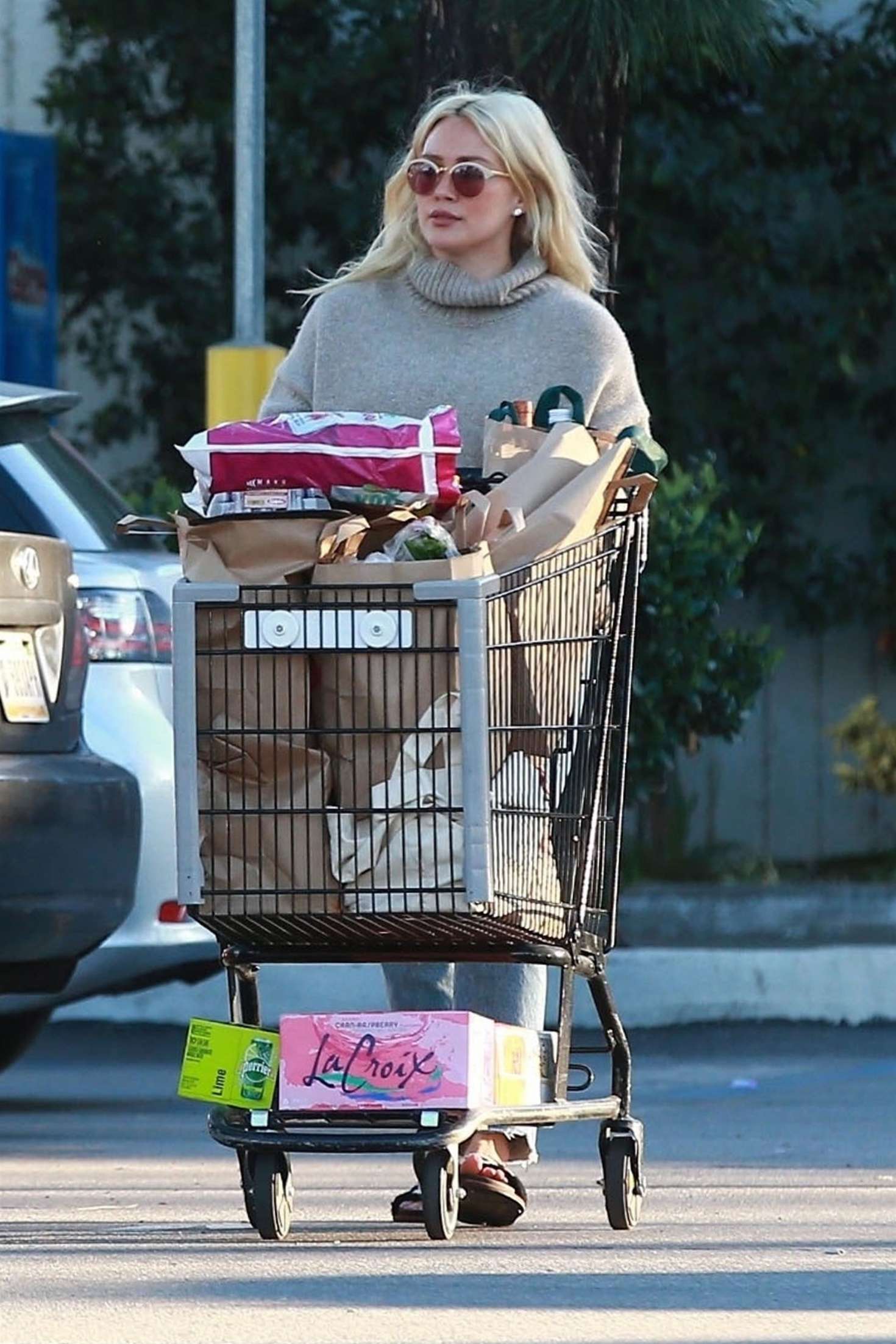Hilary Duff 2019 : Hilary Duff: Shopping at Ralphs Supermarket -07