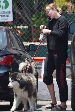 Ireland Baldwin - Taking her dog Koda to the groomers in Los Angeles