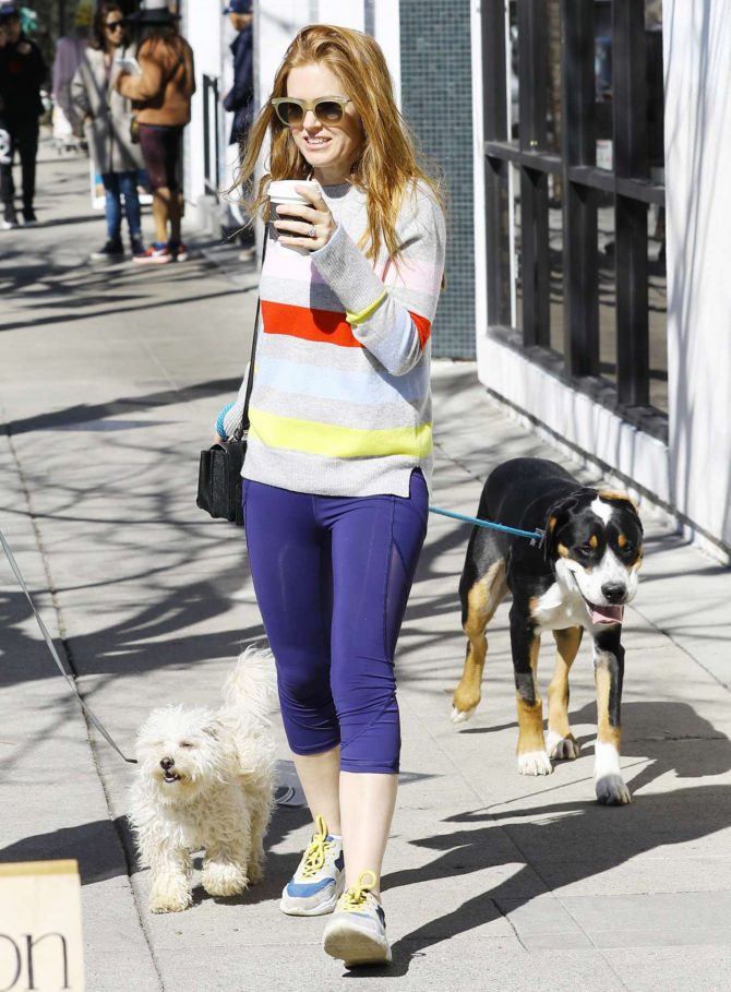 Isla Fisher - Takes her dogs out for a walk in LA
