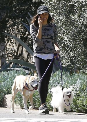 Jenna Dewan Tatum walks her dogs in Studio City