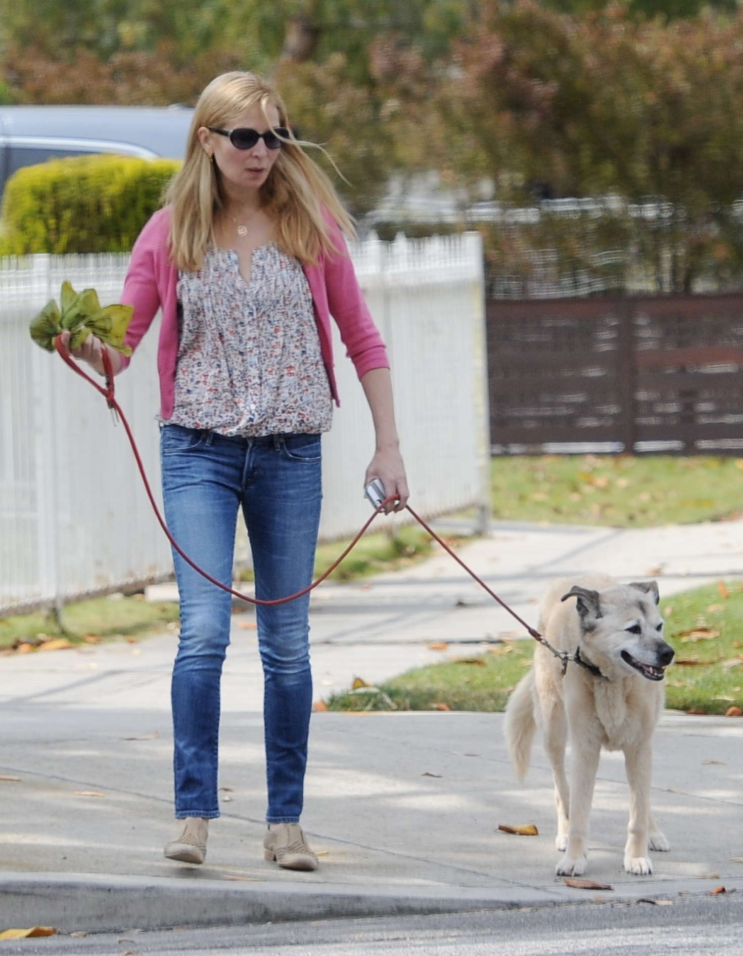 Jennifer Westfeldt walking her dog in LA