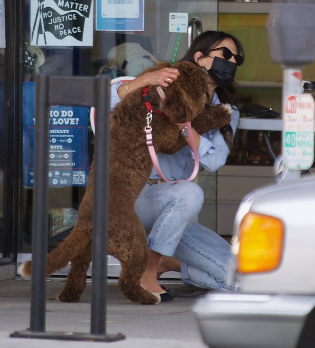 Jordana Brewster - Seen with her dog at the Groomer in Brentwood
