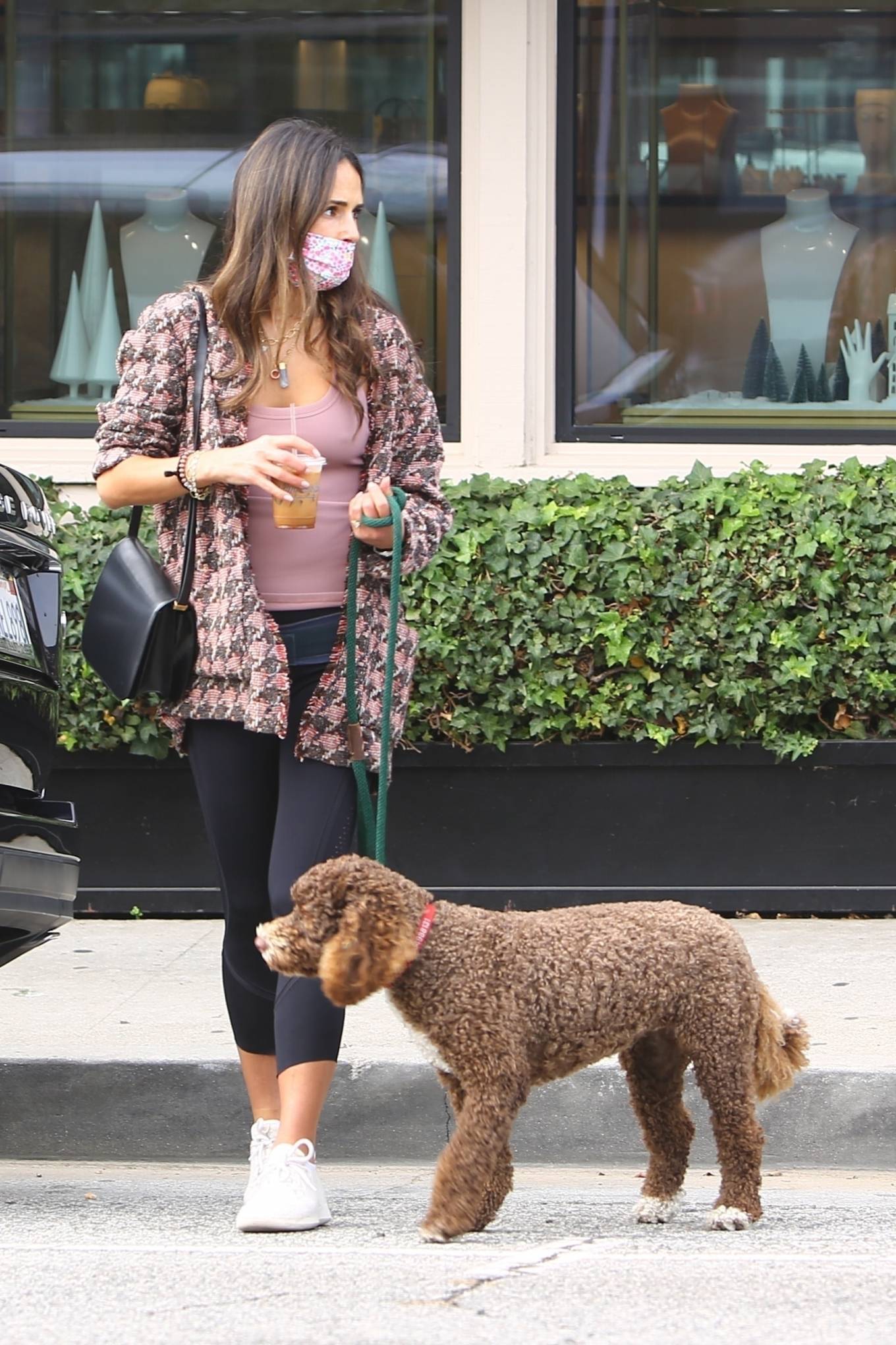 Jordana Brewster - With her dog in Brentwood