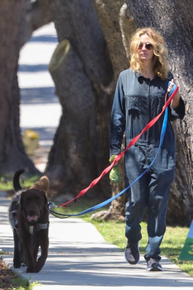 Julia Roberts - Seen walking her dogs