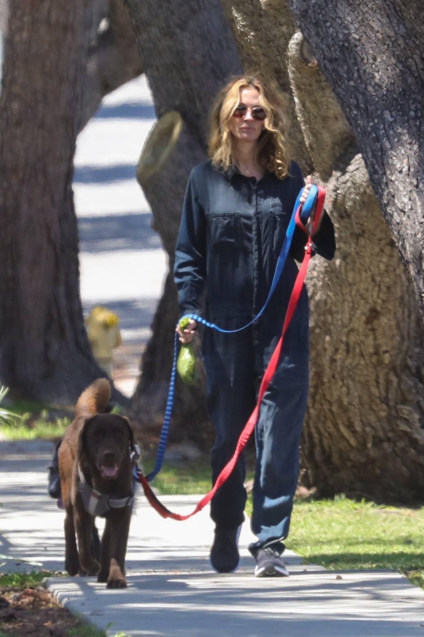 Julia Roberts â€“ Seen walking her dogs
