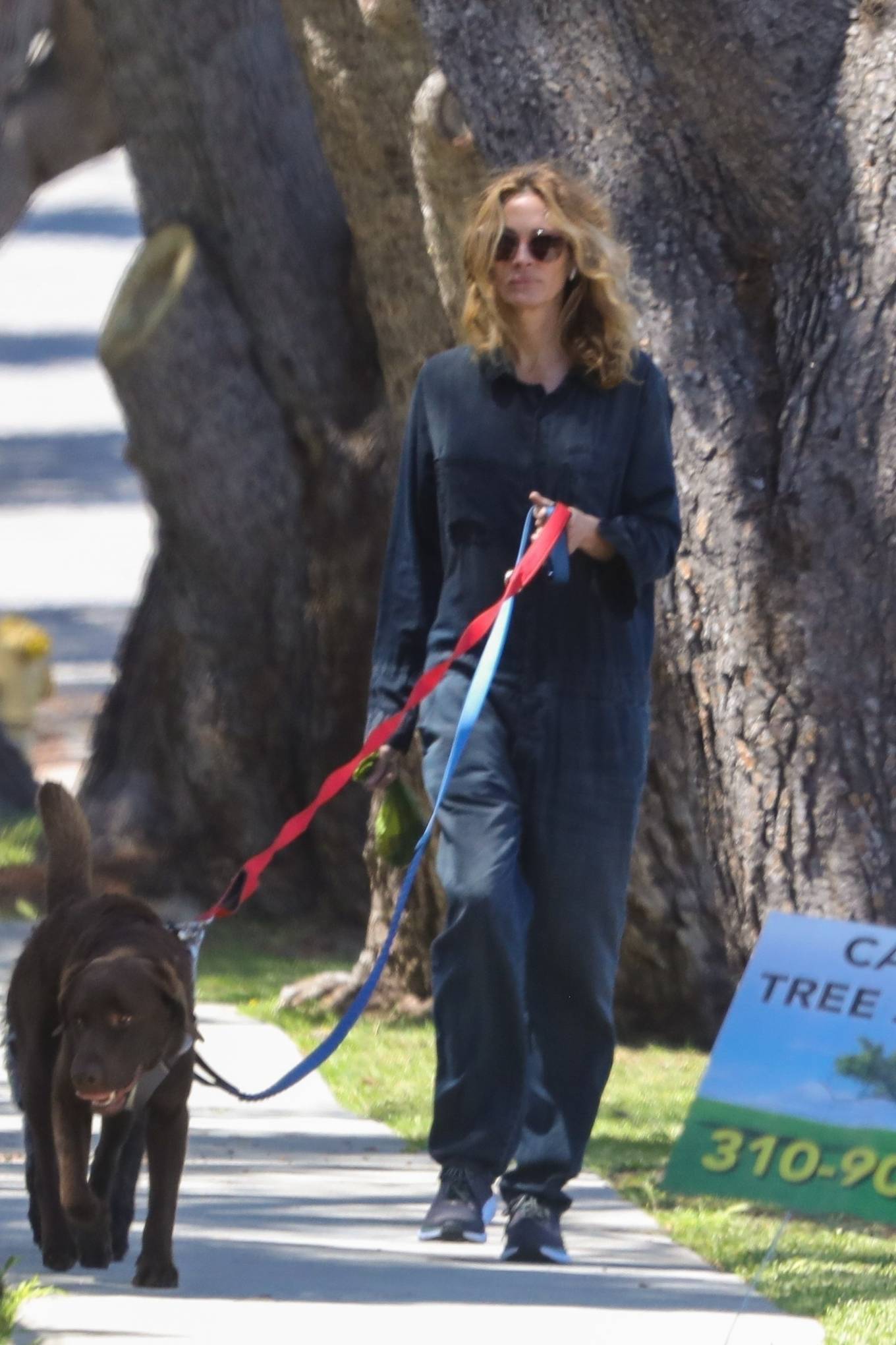 Julia Roberts â€“ Seen walking her dogs