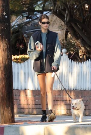 Kaia Gerber - Seen with her pooch in Los Angeles