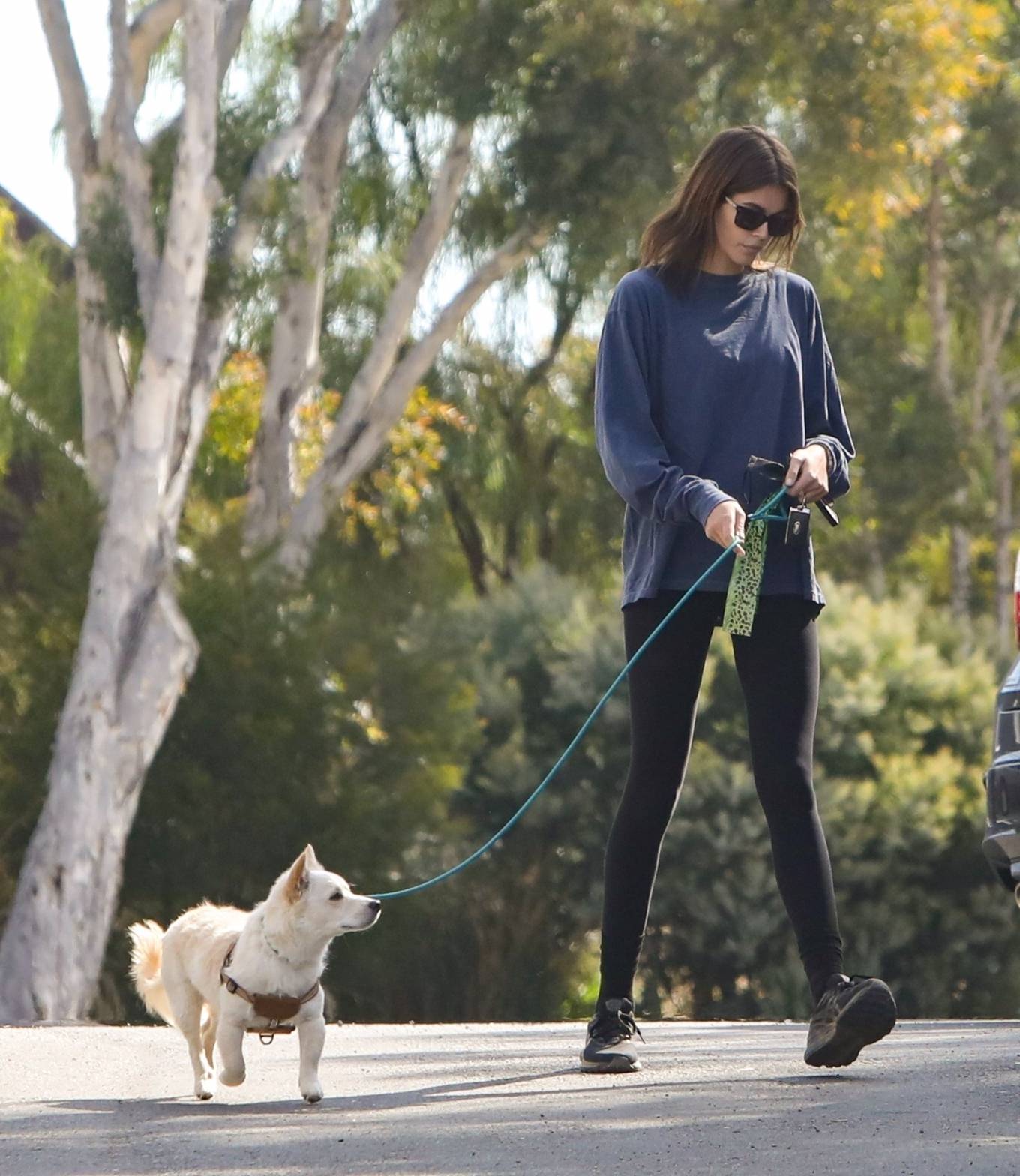 Kaia Gerber - Walking her dog in Los Angeles