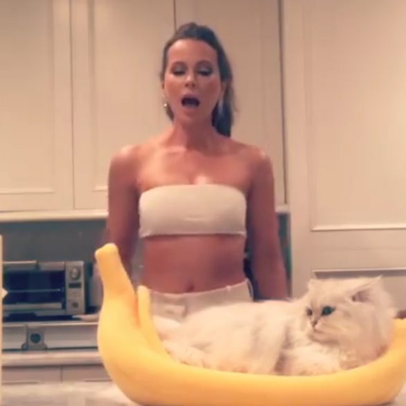 Kate Beckinsale - Performance for her cat