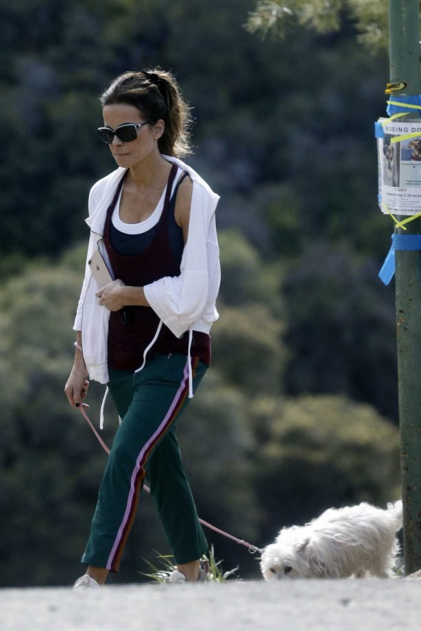 Kate Beckinsale takes her dog for a walkin Los Angeles
