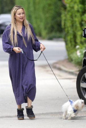 Kate Hudson - Seen with her dog in Los Angeles