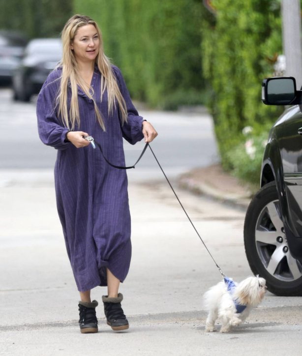 Kate Hudson - Seen with her dog in Los Angeles