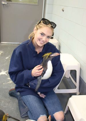 Kate Upton - Feeding penguins at the Detroit Zoo in Detroit