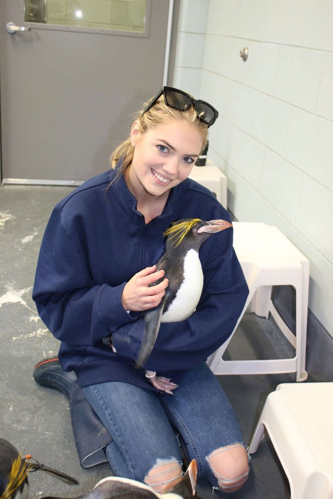 Kate Upton - Feeding penguins at the Detroit Zoo in Detroit