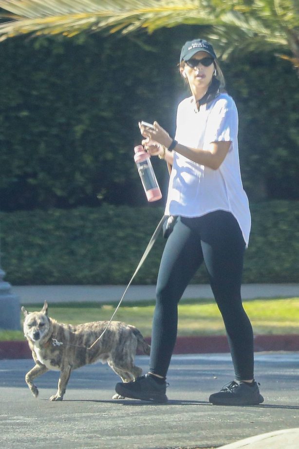Katherine Schwarzenegger - Walk with her dog in Los Angeles