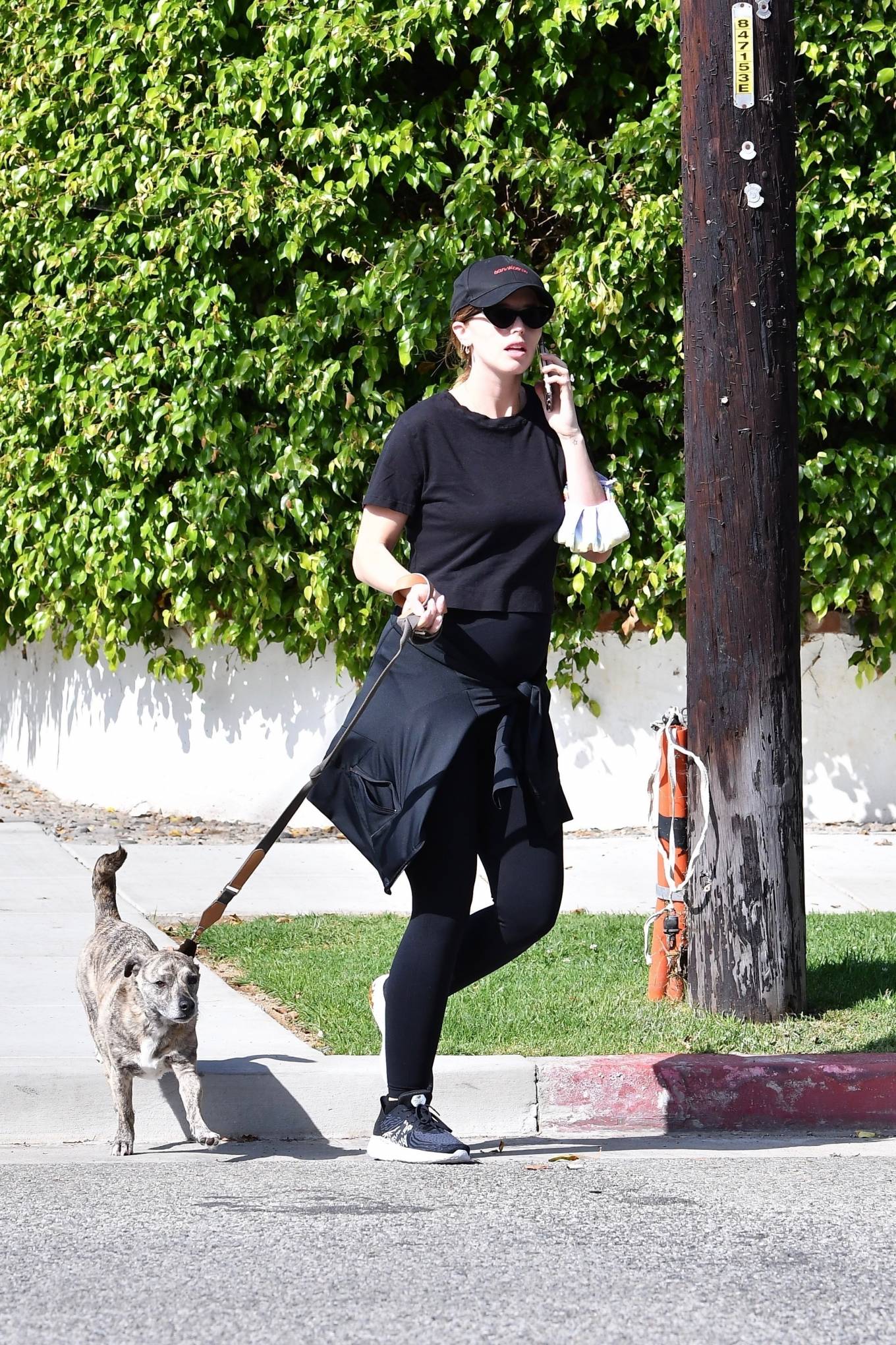 Katherine Schwarzenegger 2020 : Katherine Schwarzenegger – Walking the dog in Brentwood-10