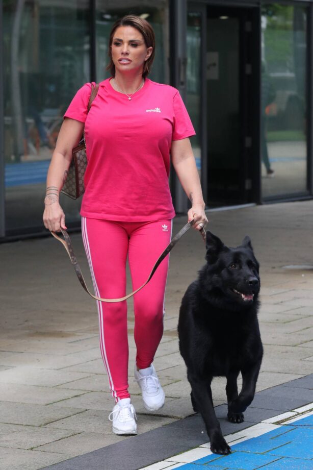 Katie Price - Takes her dog to Leeds Dock TV Studios in Manchester