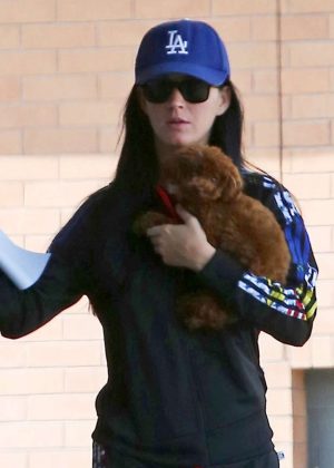 Katy Perry - Leaving The Veterinarian's Office in LA