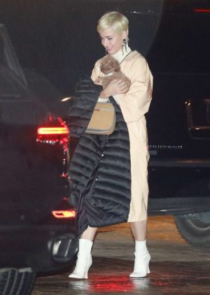 Katy Perry - Night out in Malibu